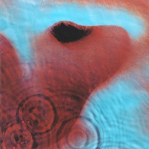 pink-floyd-meddle